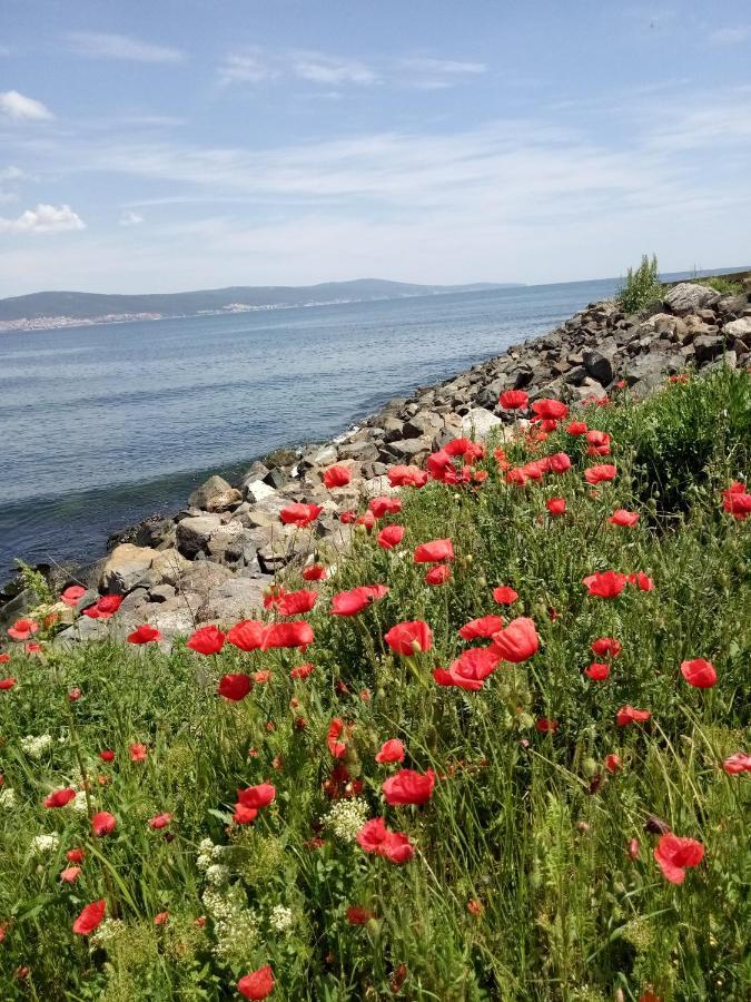 Holiday Apartcomplex Royal Sun Aparthotel Slântsjev Brjag Eksteriør bilde