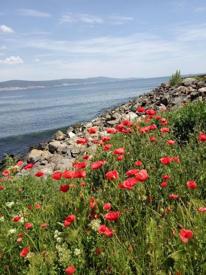 Holiday Apartcomplex Royal Sun Slântsjev Brjag Eksteriør bilde